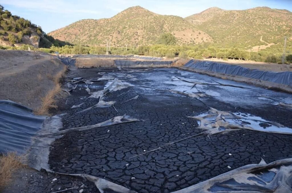 d8b8021a-8e80-4f2b-9f54-ad1d796c05c3