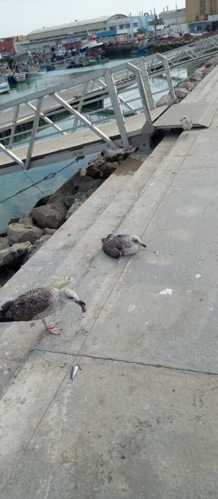 b8aab43d-5236-4f29-a002-ff37875da1a9