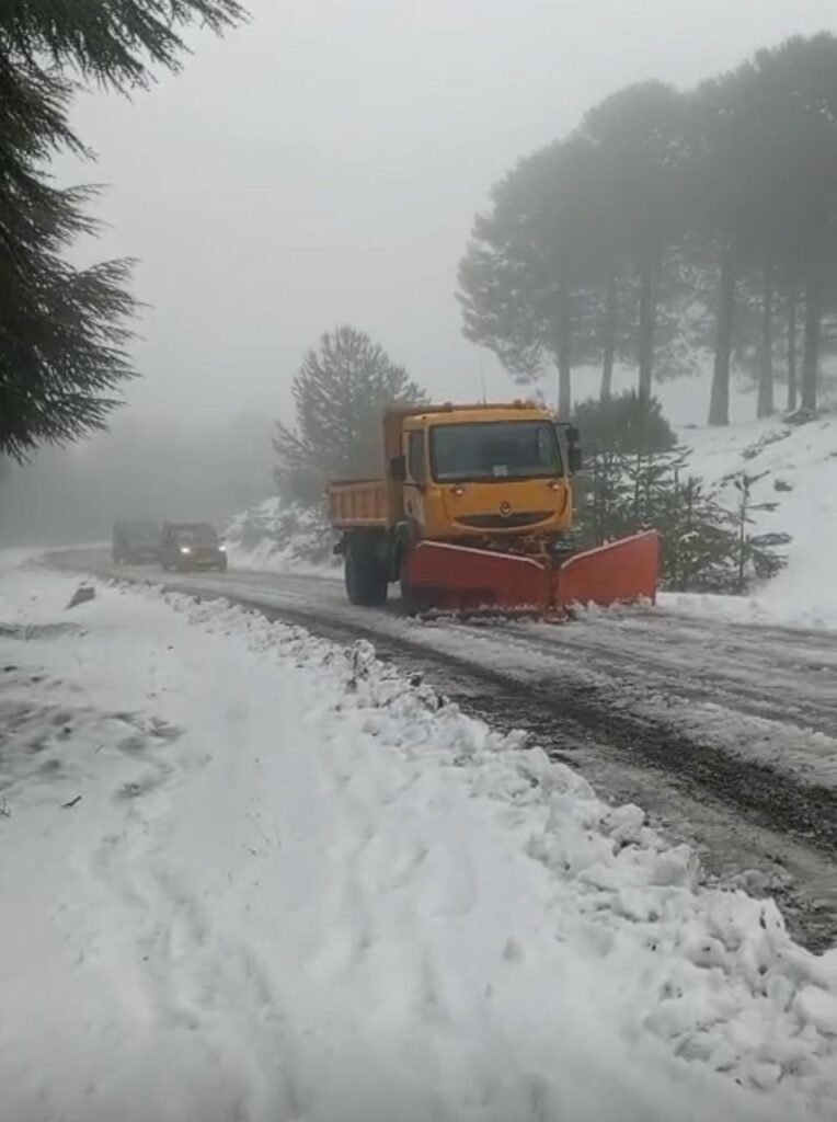 b5c87907-0cdd-4d92-9369-0b0d2999c5e1