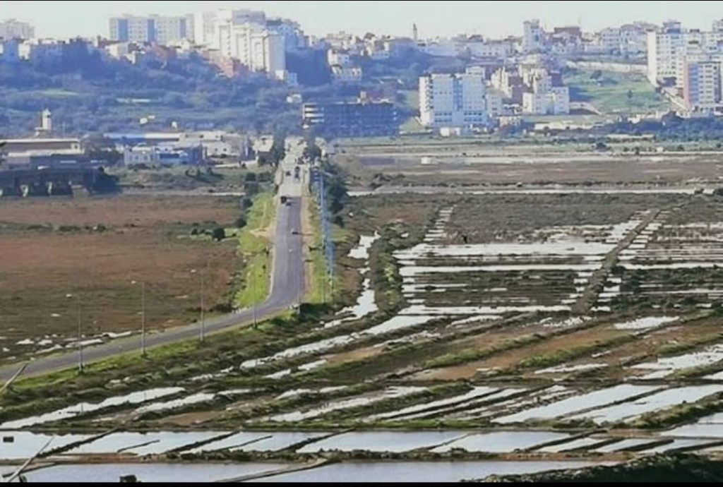 c010b8b2-b232-4143-b891-452cfbd87f31